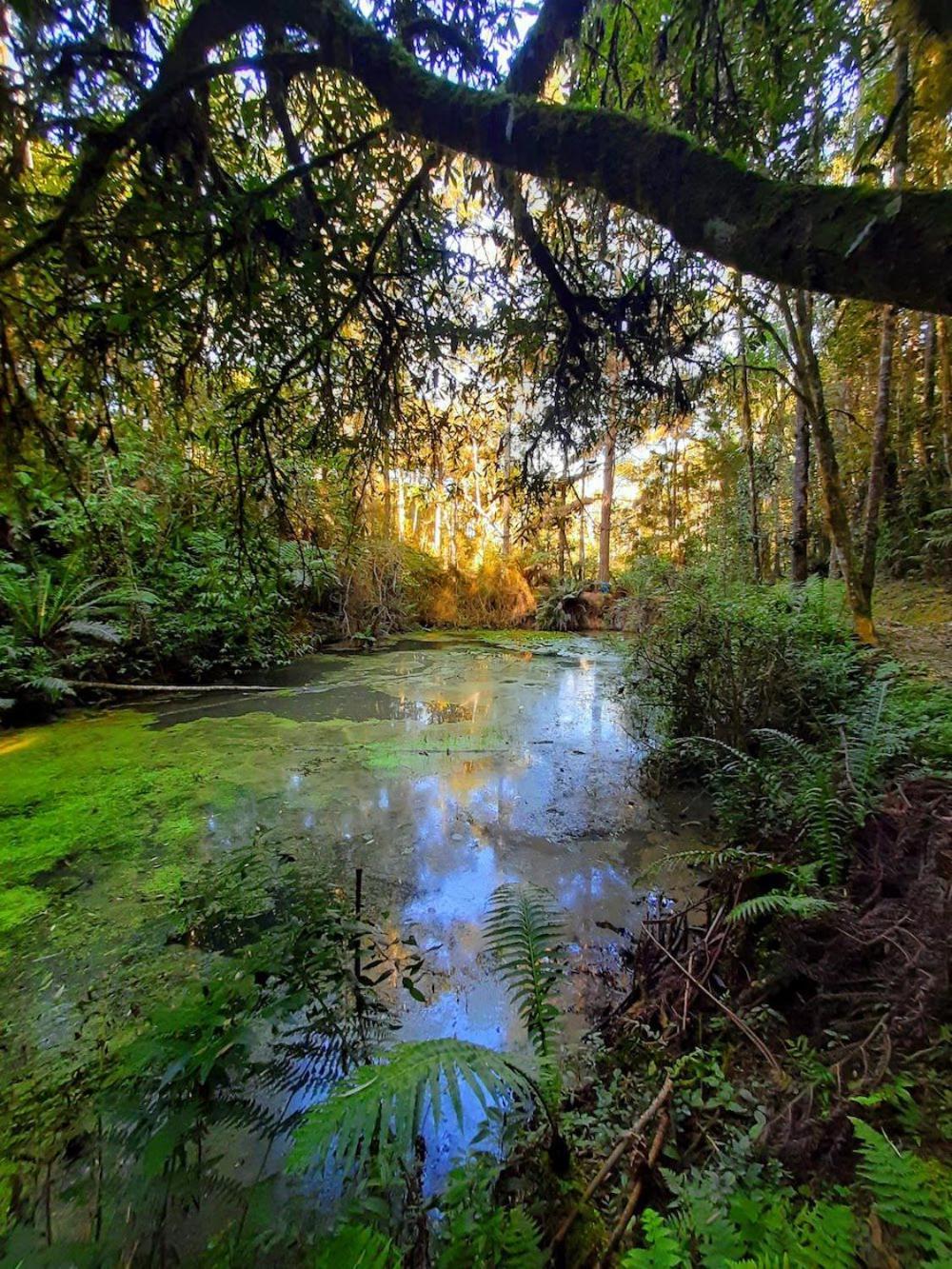 Recanto Paraiso Aventuras Rio Negrinho Εξωτερικό φωτογραφία